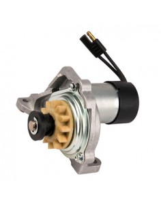 Starteris Briggs&Stratton...