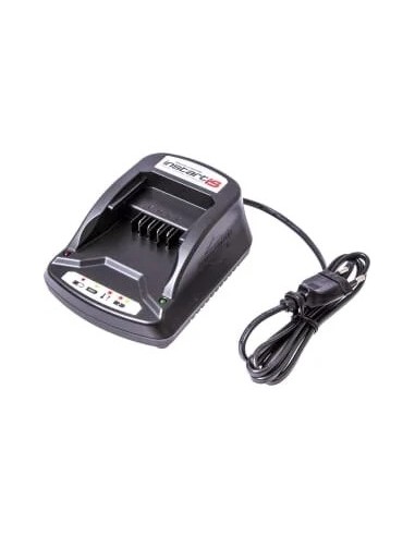 Akumuliatorių įkroviklis B/S Instart...