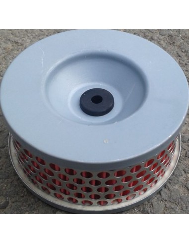 Oro filtras Yanmar varikliams