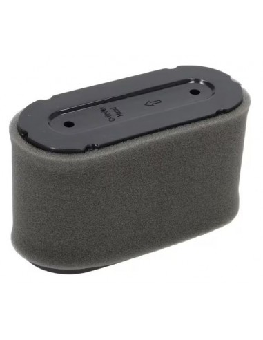 Oro filtras Castelgarden traktoriukams